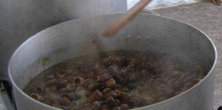 Villa Viani, torna la Sagra delle Lumache e degli Spiedini Villa Viani sagra lumaca