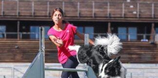 Bambino aggredito da Pitbull, l’esperta: ci sono sempre dei segnali addestramento cani MiFido