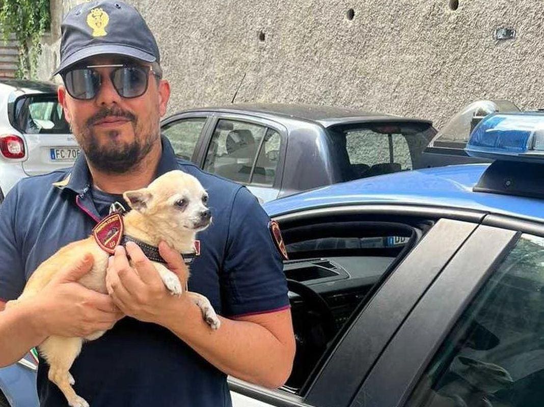 mojito cane anti ladri Genova