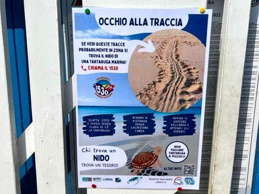 progetto salvataggio nidi tartaruga Liguria
