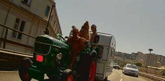 Genova, in Sopraelevata con il trattore e la roulotte Trattore in Sopraelevata Genova