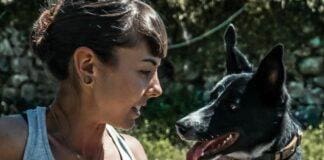Patentino per chi possiede un cane, Tosetti (MiFido): servono incontri pratici Monica Tosetti MiFido