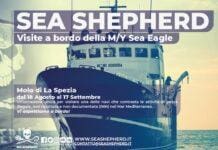 La Spezia, in porto la nave di Sea Shepherd, ecco come visitarla Sea Shepherd La Spezia