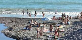 Genova, i cinghiali tornano sulla spiaggia di Sturla cinghiali spiaggia Sturla