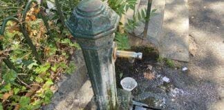 Cani a rischio malattie con le ciotole fuori da bar e ristoranti ciotole, cani, fontanelle