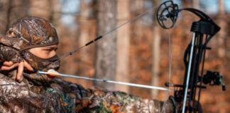 Caccia con arco e frecce, ricorso alla Corte Costituzionale degli Ambientalisti caccia arco e frecce