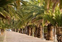 La Spezia, scoperta casa vacanze di lusso abusiva vicino alla passeggiata Morin passeggiata Morin La Spezia