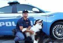 Ponte Morandi, premiato il cane poliziotto Night Spirits e la sua conduttrice Night Spirit cane poliziotto
