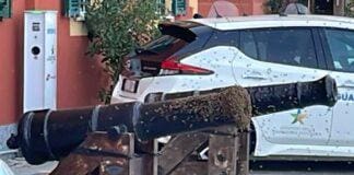 Santa Margherita Ligure, uno sciame di api sui cannoni del porticciolo api cannone Santa Margherita Ligure