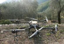 Imperia, droni per combattere la mosca olearia, oggi i primi test droni uliveti