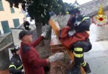 Sestri Levante, Vigili del Fuoco recuperano cane caduto nel torrente Gromolo sestri Levante salvataggio cane torrente Gromolo
