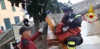 Sestri Levante, Vigili del Fuoco recuperano cane caduto nel torrente Gromolo sestri Levante salvataggio cane torrente Gromolo