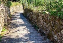 Camogli, fatale per un turista di 76 anni la scalinata per San Rocco scalinata Camogli San Rocco