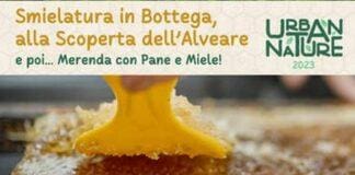 Genova, le api e la raccolta del miele con l’Ape in Bottega e AlpaMiele smielatura ape in bottega