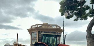 Castelletto, sostituito a tempo di record l’albero abbattuto in Spianata Castelletto Spianata Genova albero sostituito