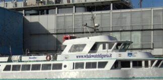 Genova, Navebus sospesa per i danni a Molo Archetti di Pegli Navebus Genova