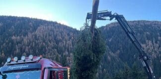 Genova, partito da Ponte di Legno l’albero di Natale atteso in piazza De Ferrari