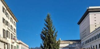 Natale a Genova, arrivato l’albero in piazza De Ferrari Albero Natale piazza De Ferrari Genova 2023