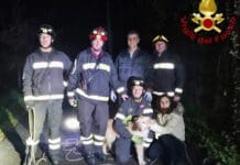 Davagna, spinone cade in un fosso pieno di rovi, salvato dai Vigili del Fuoco Davagna salvataggio spinone