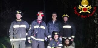 Davagna, spinone cade in un fosso pieno di rovi, salvato dai Vigili del Fuoco Davagna salvataggio spinone