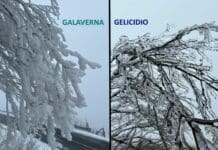 Galaverna o Gelicidio? La differenza spiegata dal Metereologo Ignorante Gelicidio Galaverna