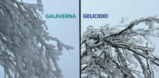 Galaverna o Gelicidio? La differenza spiegata dal Metereologo Ignorante Gelicidio Galaverna