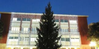 Recco, domani l’accensione dell’albero di Natale in piazza Nicoloso