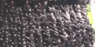 Saluto romano, Cassazione: è apologia di Fascismo e va applicata la legge Scelba Acca Larenzia saluto romano Roma