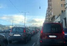 Genova, cane terrorizzato corre per strada, allarme in corso Gastaldi corso Gastaldi coda Genova