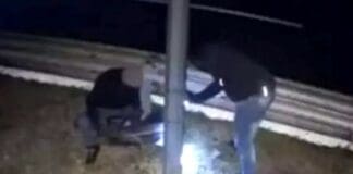 Fleximan colpisce anche in Liguria, è rivolta contro gli Autovelox? Fleximan autovelox