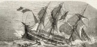 Stoccafisso, la vera storia della scoperta grazie ad un naufragio Pietro Querini naufragio stoccafisso
