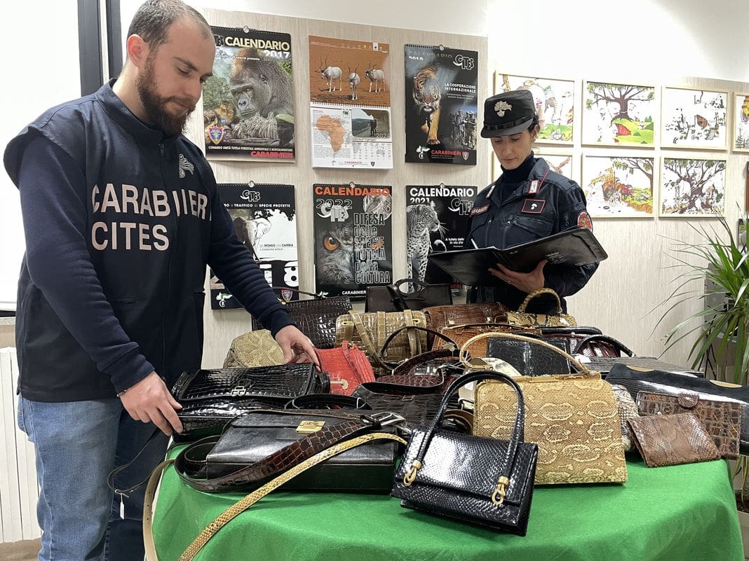 Cites sequestro borse cinture carabinieri