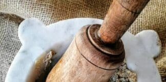 Salsa di noci: la Storia e l’origine del tipico condimento ligure Salsa di Noci, sugo di noci