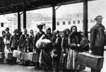 Genova, Migranti e Emigranti italiani sui piroscafi, riflessioni al Museo del Mare Emigranti italiani, migranti, emigrazione