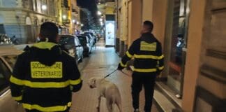 Ventimiglia, prima notte di controlli delle squadre di volontari Ventimiglia controlli