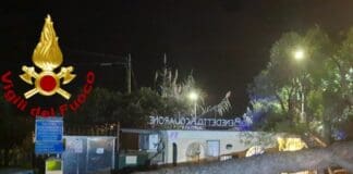 Cogorno, albero crolla sulla cancellata del centro Benedetto Acquarone Cogorno albero abbattuto Benedetto Acquarone