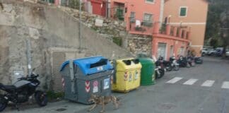 Genova, lupo per strada, in pieno giorno, ad Apparizione Lupo Apparizione