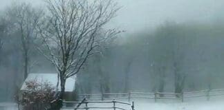 In Liguria torna la neve, fiocchi al passo del Faiallo Neve Passo Faiallo 26 marzo 2024