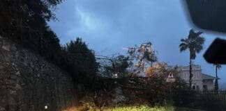 Recco, albero caduto sull’Aurela, traffico bloccato Recco albero caduto Aurelia