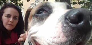 Genova, cremazioni gratuite per cani e gatti ospiti dei canili con Asef cane canile