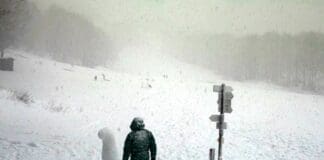 Santo Stefano d’Aveto, la webcam torna a funzionare ed appare la statua fallica statua fallo neve Sato Stefano aveto webcam