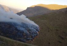 Arenzano, spento nella notte l’incendio al passo della Gava Arenzano incendio passo Gava 14 aprile 2024