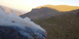 Arenzano, spento nella notte l’incendio al passo della Gava Arenzano incendio passo Gava 14 aprile 2024