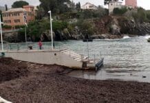 Nervi, Marinella e Porticciolo, M5S: finalmente il Municipio si è svegliato Porticciolo Nervi alghe posidonia