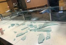 Genova, vandalizzato il panificio Simonitti a Sestri Ponente: sfondato il bancone