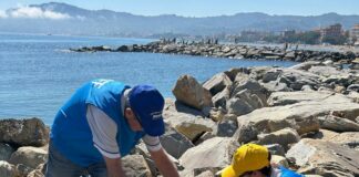 San Bartolomeo al Mare, volontari ripuliscono le spiagge San Bartolomeo al Mare pulizia spiagge