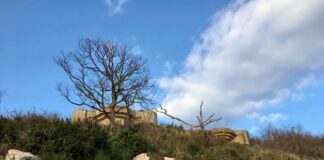 A Genova c’è la Batteria Monte Moro: la storia della fortificazione sopra a Quinto