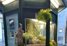 Genova, smontato e rimosso il chiosco-edicola di via Luccoli Chiosco edicola via Luccoli