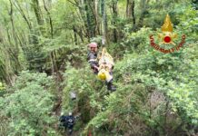 Borzonasca, perde il controllo della moto e vola nel bosco, grave in ospedale Borzonasca moto nel bosco 4 maggio 2024