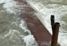 Genova, il Buoncanile rischia di chiudere, Volontari in cerca di aiuto Buoncanile ponte crollato